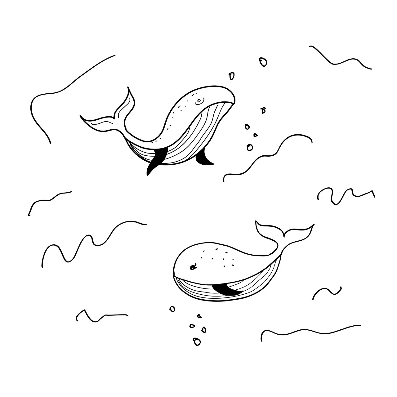 whale