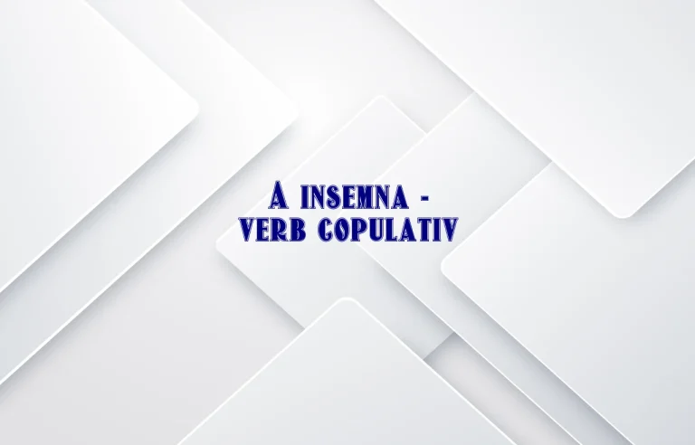 a insemna verb copulativ