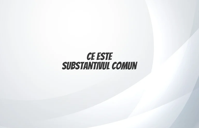 ce este substantivul comun