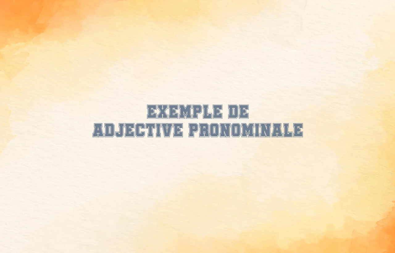 exemple de adjective pronominale