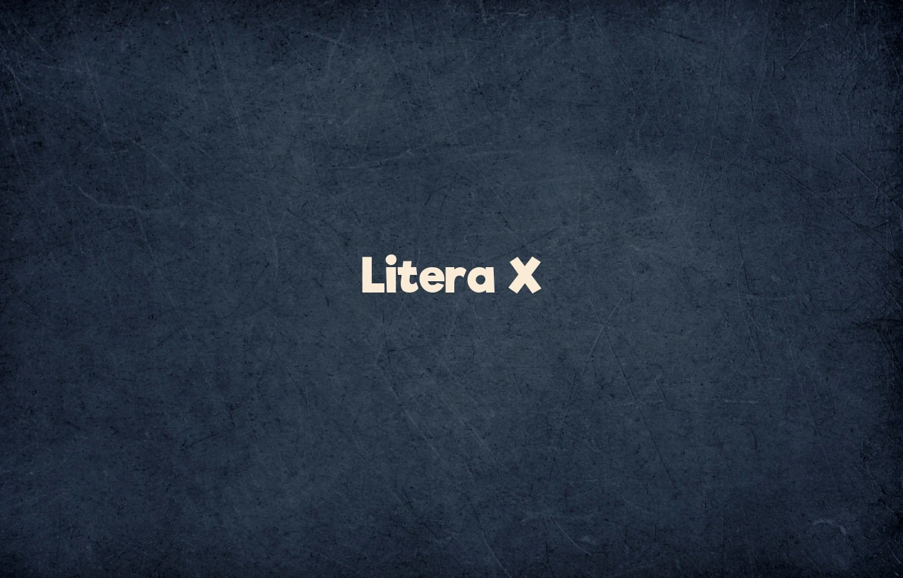 litera x