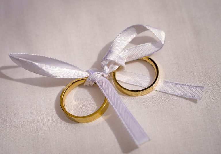 cine este sotia lui daniel daianu