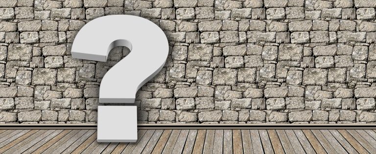 cine este razvan vasile