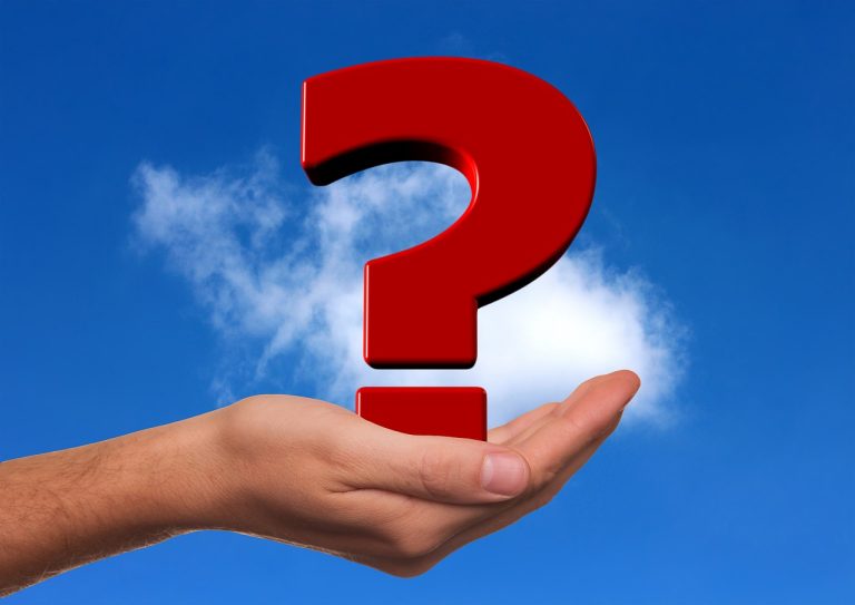 cine este calin donca