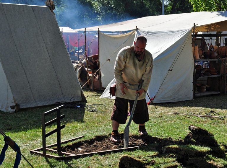 vikingii actori