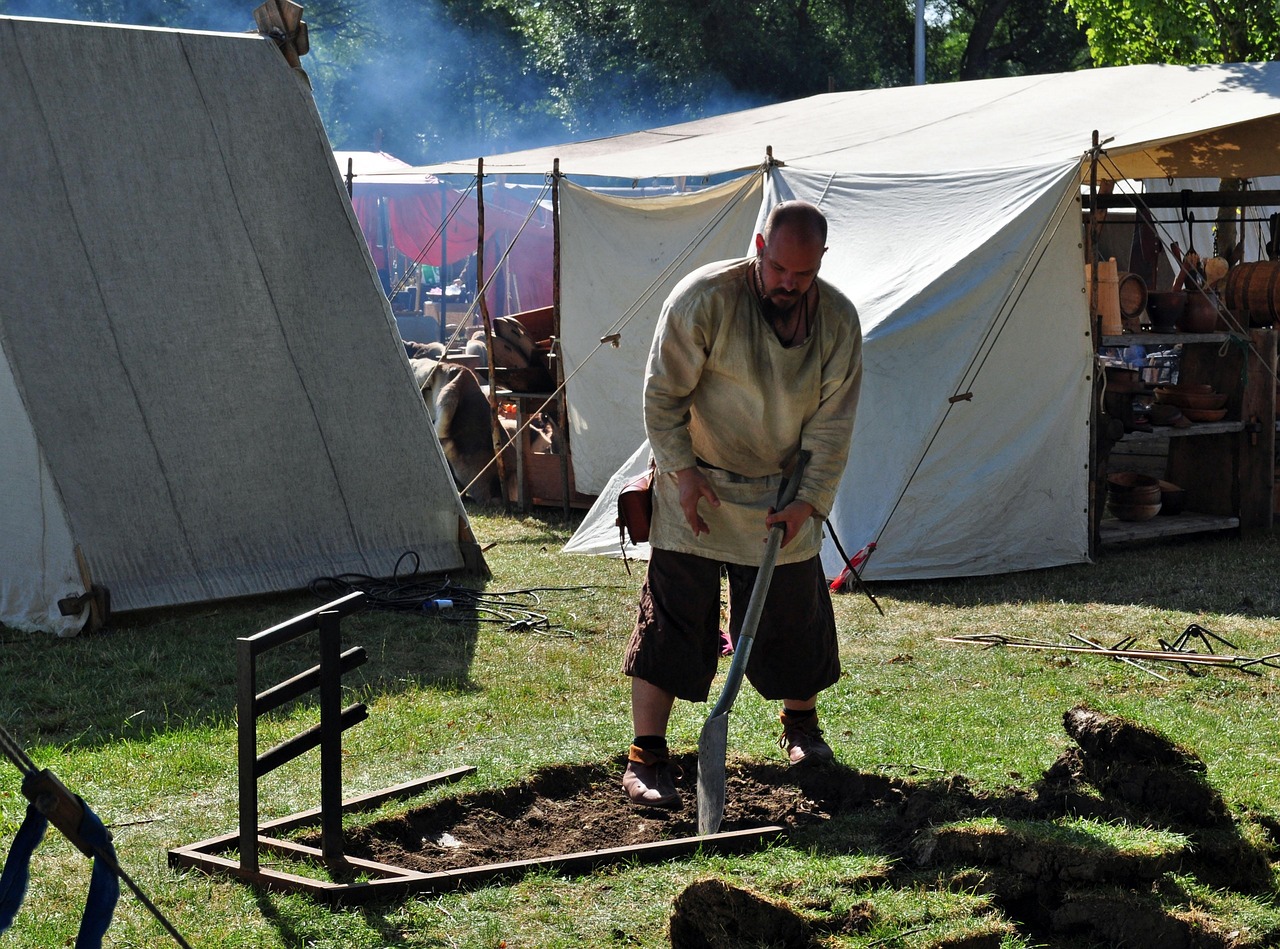 vikingii actori
